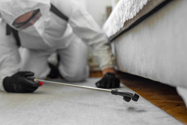 Professional Cockroach Control technician working in Greensville County County, VA